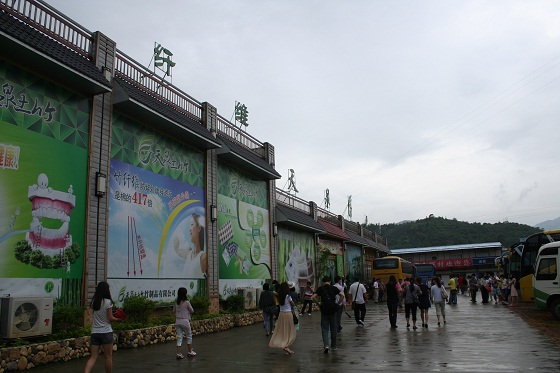 天泉土竹
