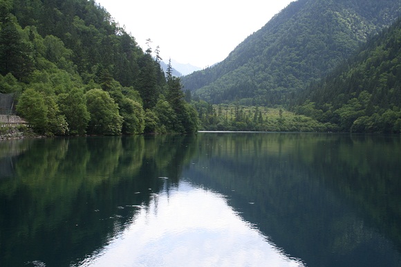 箭竹海