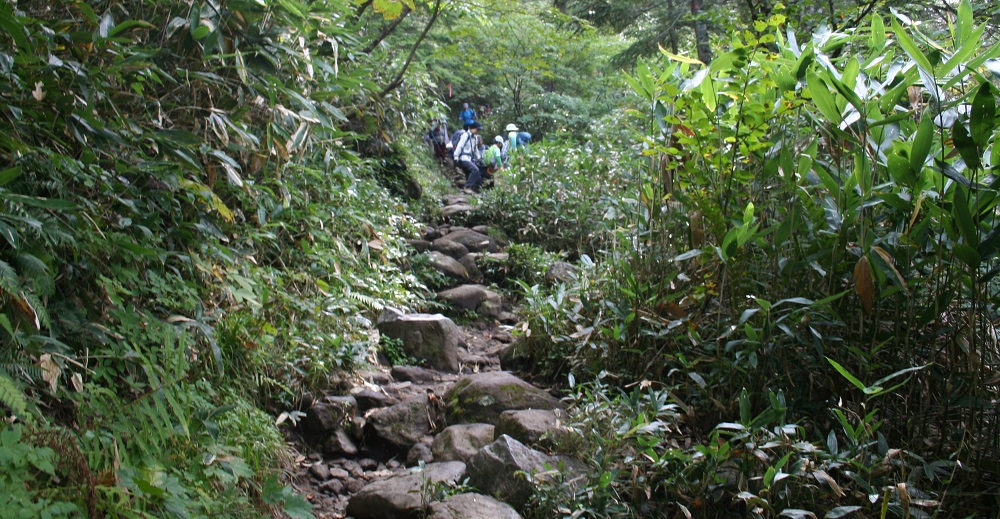 白砂峠