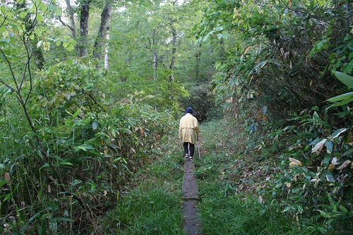 段吉新道